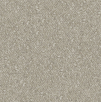 Andes Pumice